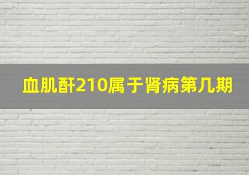 血肌酐210属于肾病第几期