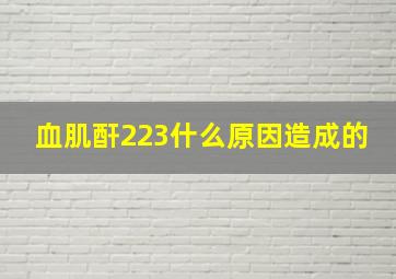 血肌酐223什么原因造成的