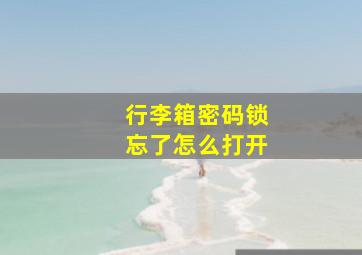 行李箱密码锁忘了怎么打开