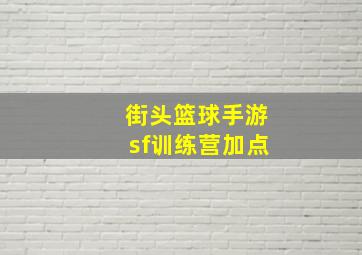 街头篮球手游sf训练营加点