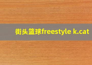 街头篮球freestyle k.cat