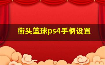 街头篮球ps4手柄设置