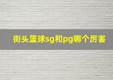 街头篮球sg和pg哪个厉害