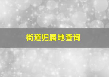 街道归属地查询