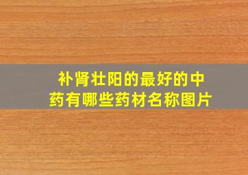 补肾壮阳的最好的中药有哪些药材名称图片