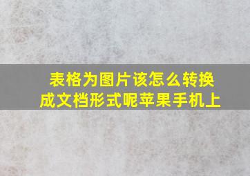 表格为图片该怎么转换成文档形式呢苹果手机上