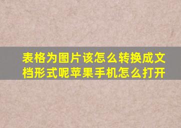 表格为图片该怎么转换成文档形式呢苹果手机怎么打开