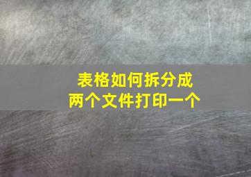 表格如何拆分成两个文件打印一个