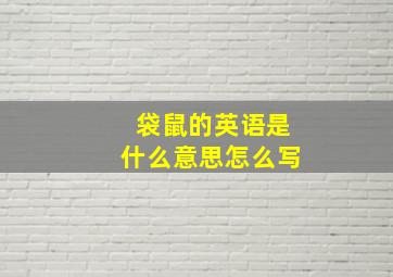 袋鼠的英语是什么意思怎么写