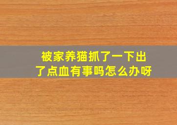 被家养猫抓了一下出了点血有事吗怎么办呀