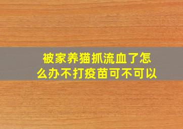 被家养猫抓流血了怎么办不打疫苗可不可以