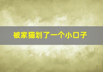 被家猫划了一个小口子