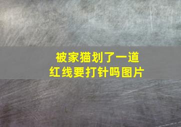 被家猫划了一道红线要打针吗图片