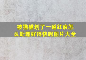 被猫猫划了一道红痕怎么处理好得快呢图片大全