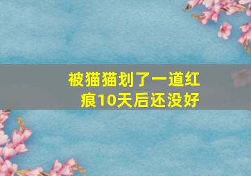 被猫猫划了一道红痕10天后还没好