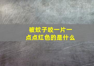 被蚊子咬一片一点点红色的是什么