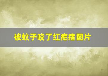 被蚊子咬了红疙瘩图片