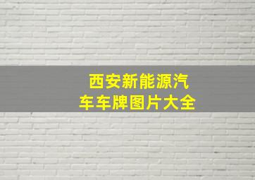 西安新能源汽车车牌图片大全