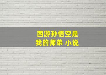 西游孙悟空是我的师弟 小说