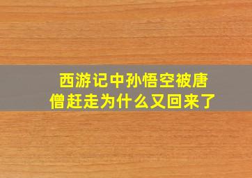 西游记中孙悟空被唐僧赶走为什么又回来了