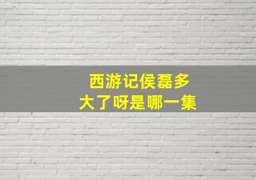 西游记侯磊多大了呀是哪一集