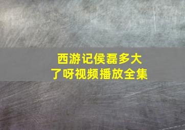 西游记侯磊多大了呀视频播放全集