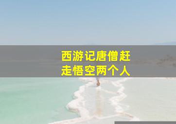 西游记唐僧赶走悟空两个人