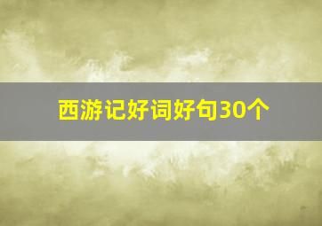 西游记好词好句30个