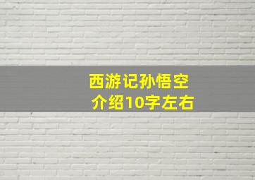 西游记孙悟空介绍10字左右