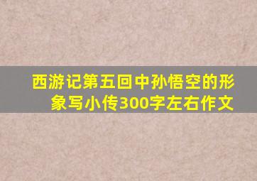 西游记第五回中孙悟空的形象写小传300字左右作文