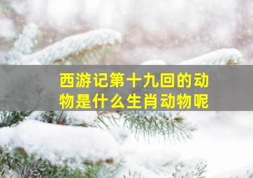 西游记第十九回的动物是什么生肖动物呢