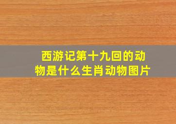 西游记第十九回的动物是什么生肖动物图片