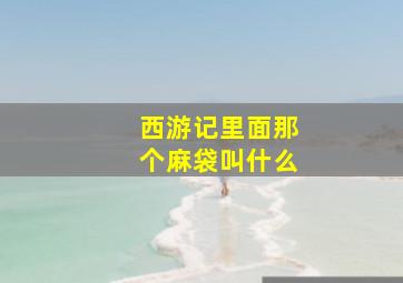 西游记里面那个麻袋叫什么