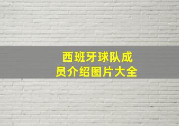 西班牙球队成员介绍图片大全