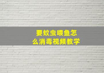 要蚊虫喂鱼怎么消毒视频教学