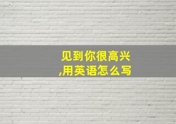 见到你很高兴,用英语怎么写