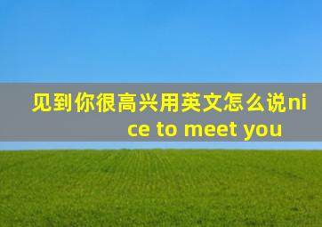 见到你很高兴用英文怎么说nice to meet you