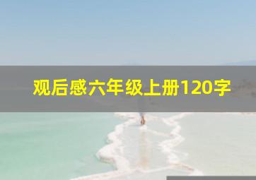 观后感六年级上册120字