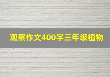 观察作文400字三年级植物