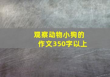 观察动物小狗的作文350字以上