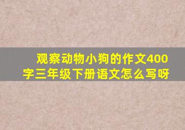 观察动物小狗的作文400字三年级下册语文怎么写呀