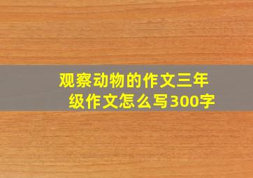 观察动物的作文三年级作文怎么写300字