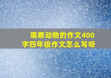 观察动物的作文400字四年级作文怎么写呀