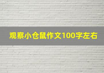 观察小仓鼠作文100字左右