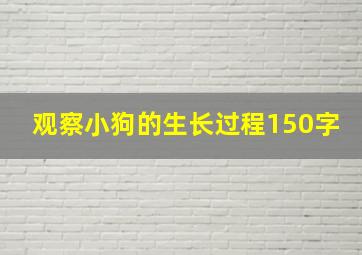 观察小狗的生长过程150字