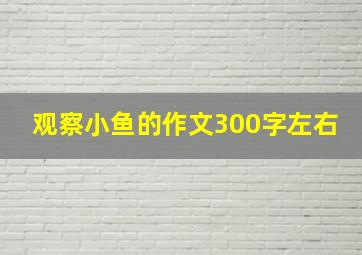 观察小鱼的作文300字左右