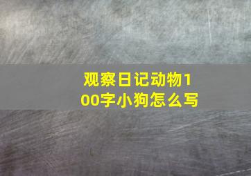 观察日记动物100字小狗怎么写