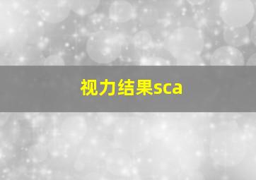 视力结果sca