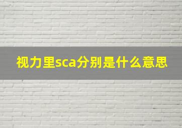 视力里sca分别是什么意思