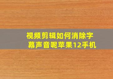 视频剪辑如何消除字幕声音呢苹果12手机